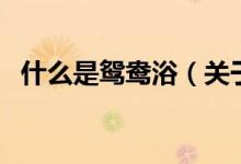 什么是鴛鴦?。P(guān)于什么是鴛鴦浴的介紹）