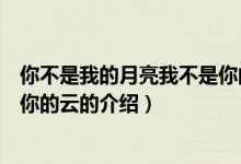 你不是我的月亮我不是你的云（關于你不是我的月亮我不是你的云的介紹）