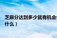 芝麻分達(dá)到多少就有機(jī)會(huì)免押金使用神州租車（神州租車是什么）