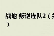 戰(zhàn)地 叛逆連隊2（關(guān)于戰(zhàn)地 叛逆連隊2的介紹）
