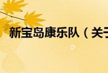 新寶島康樂隊（關于新寶島康樂隊的介紹）