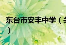 東臺(tái)市安豐中學(xué)（關(guān)于東臺(tái)市安豐中學(xué)的介紹）