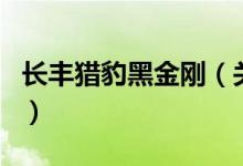 長(zhǎng)豐獵豹黑金剛（關(guān)于長(zhǎng)豐獵豹黑金剛的介紹）