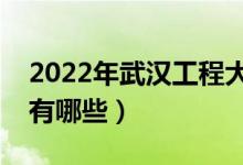 2022年武漢工程大學評價怎么樣（王牌專業(yè)有哪些）