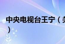 中央電視臺王寧（關于中央電視臺王寧的介紹）
