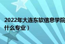 2022年大連東軟信息學(xué)院在江西招生計劃及招生人數(shù)（都招什么專業(yè)）