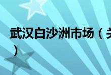 武漢白沙洲市場（關(guān)于武漢白沙洲市場的介紹）