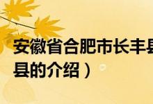 安徽省合肥市長(zhǎng)豐縣（關(guān)于安徽省合肥市長(zhǎng)豐縣的介紹）