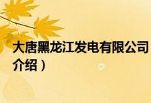 大唐黑龍江發(fā)電有限公司（關于大唐黑龍江發(fā)電有限公司的介紹）