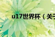 u17世界杯（關(guān)于u17世界杯的介紹）