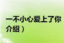 一不小心愛上了你（關于一不小心愛上了你的介紹）
