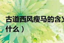 古道西風瘦馬的含義（古道西風瘦馬的意思是什么）