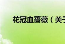 花冠血薔薇（關于花冠血薔薇的介紹）