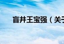 盲井王寶強（關(guān)于盲井王寶強的介紹）