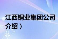 江西銅業(yè)集團公司（關(guān)于江西銅業(yè)集團公司的介紹）