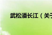 武松潘長江（關(guān)于武松潘長江的介紹）