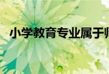 小學(xué)教育專(zhuān)業(yè)屬于師范類(lèi)嗎（前景怎么樣）