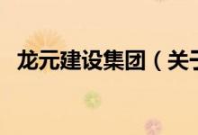 龍元建設(shè)集團（關(guān)于龍元建設(shè)集團的介紹）