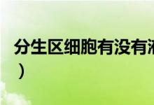 分生區(qū)細胞有沒有液泡（分生區(qū)細胞有液泡嗎）