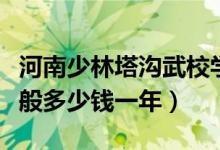 河南少林塔溝武校學費（少林塔溝武校學費一般多少錢一年）