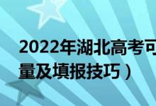 2022年湖北高考可以填多少個志愿（志愿數(shù)量及填報技巧）