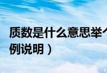 質(zhì)數(shù)是什么意思舉個例子（質(zhì)數(shù)是什么意思舉例說明）