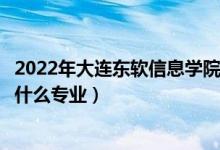 2022年大連東軟信息學(xué)院在廣東招生計劃及招生人數(shù)（都招什么專業(yè)）