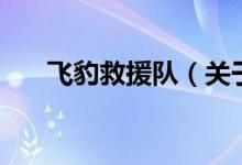 飛豹救援隊（關(guān)于飛豹救援隊的介紹）