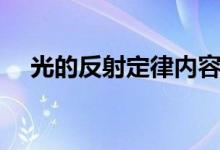 光的反射定律內(nèi)容(光的反射定律內(nèi)容)
