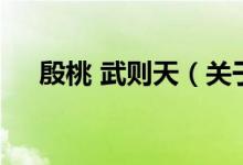 殷桃 武則天（關(guān)于殷桃 武則天的介紹）