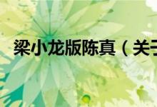 梁小龍版陳真（關于梁小龍版陳真的介紹）