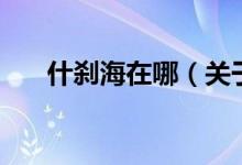 什剎海在哪（關(guān)于什剎海在哪的介紹）