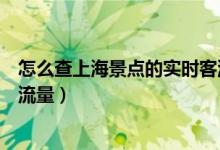 怎么查上海景點(diǎn)的實(shí)時(shí)客流量（如何查詢上海景點(diǎn)的實(shí)時(shí)客流量）