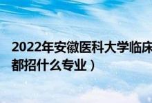 2022年安徽醫(yī)科大學(xué)臨床醫(yī)學(xué)院各省招生計劃及招生人數(shù)（都招什么專業(yè)）
