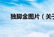 獨腳金圖片（關(guān)于獨腳金圖片的介紹）
