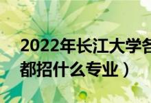 2022年長江大學(xué)各省招生計劃及招生人數(shù)（都招什么專業(yè)）