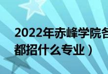 2022年赤峰學(xué)院各省招生計劃及招生人數(shù)（都招什么專業(yè)）