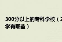 300分以上的專科學(xué)校（2022高考300分左右的公辦?？拼髮W(xué)有哪些）