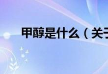 甲醇是什么（關(guān)于甲醇是什么的介紹）