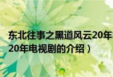 東北往事之黑道風云20年電視?。P于東北往事之黑道風云20年電視劇的介紹）