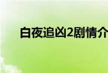 白夜追兇2劇情介紹（白夜追兇2簡介）