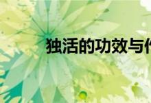 獨(dú)活的功效與作用（一起來(lái)看看）