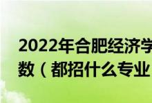 2022年合肥經(jīng)濟學院各省招生計劃及招生人數(shù)（都招什么專業(yè)）