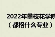 2022年攀枝花學(xué)院各省招生計劃及招生人數(shù)（都招什么專業(yè)）