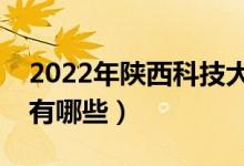 2022年陜西科技大學(xué)評(píng)價(jià)怎么樣（王牌專(zhuān)業(yè)有哪些）