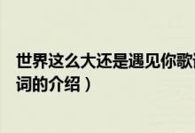 世界這么大還是遇見(jiàn)你歌詞（關(guān)于世界這么大還是遇見(jiàn)你歌詞的介紹）