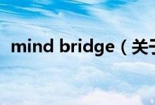 mind bridge（關于mind bridge的介紹）