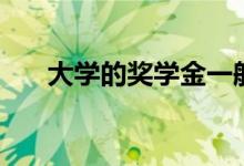 大學(xué)的獎學(xué)金一般是多少（怎么獲得）