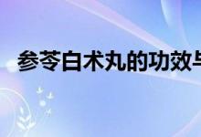 參苓白術(shù)丸的功效與作用（你都了解多少）