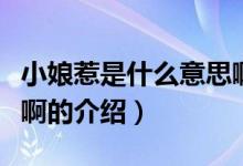 小娘惹是什么意思?。P(guān)于小娘惹是什么意思啊的介紹）